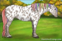 Horse Color:Painted Silver Grullo Ice Appaloosa 