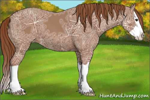 Horse Color:Chestnut Ice Splash Appaloosa 