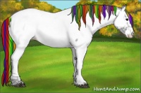 Horse Color:Painted Black Ice Appaloosa 