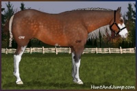 Horse Color:Silver Buckskin Sabino 