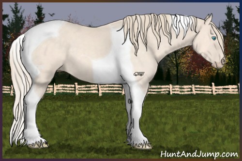 Horse Color:Perlino Tobiano 