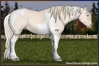 Horse Color:Perlino Tobiano 