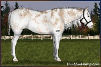 Horse Color:Buckskin Dun Sabino 