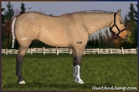 Horse Color:Silver Buckskin Dun 