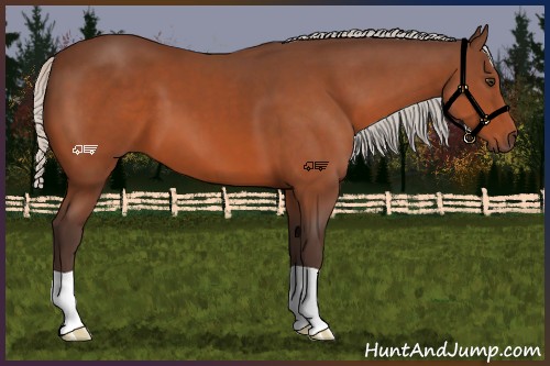 Horse Color:Silver Brown