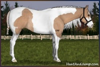 Horse Color:Silver Brown Dun Sabino Tobiano Rabicano 