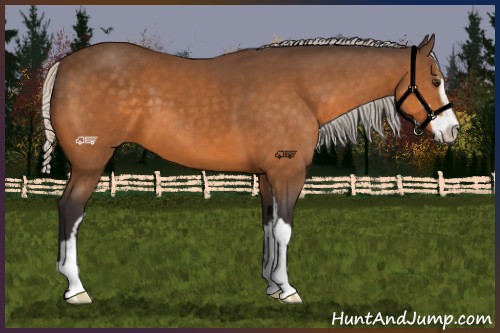 Horse Color:Silver Buckskin Sabino 