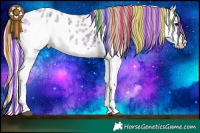 Horse Color:Painted Silver Blue Onyx Ice Roan Splash Appaloosa 