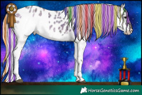 Horse Color:Painted Silver Blue Onyx Ice Roan Splash Appaloosa 