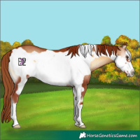 Horse Color:Red Onyx Frame