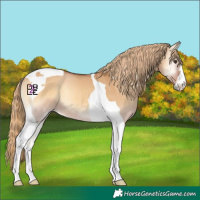 Horse Color:Red Dun Onyx Tobiano