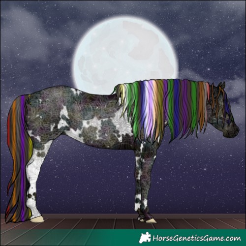Horse Color:Painted White Spotted Midnight Liver Chestnut Ice Rabicano 