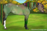 Horse Color:Painted Bay Dun 
