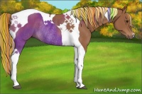 Horse Color:Painted Chestnut Tobiano Rabicano 
