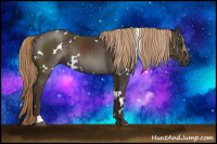 Horse Color:White Spotted Liver Chestnut Rabicano 