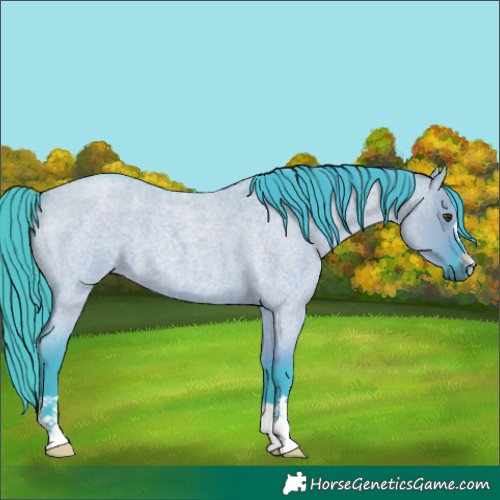 Horse Color:Watercolor Liver Red Dun Roan 