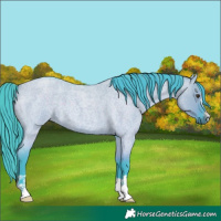 Horse Color:Watercolor Liver Red Dun Roan 