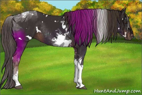 Horse Color:White Spotted Liver Chestnut Tobiano Rabicano 