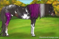 Horse Color:White Spotted Liver Chestnut Tobiano Rabicano