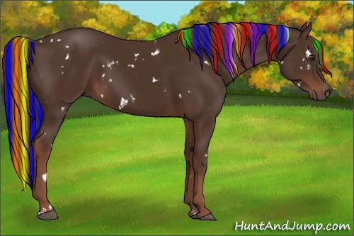 Horse Color:Painted White Spotted Liver Chestnut 