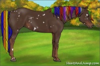 Horse Color:Painted White Spotted Liver Chestnut 