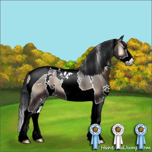 Horse Color:White Spotted Blue Onyx Splash Tobiano 