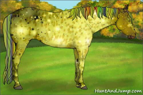 Horse Color:ERROR: UNKNOWN ANOMALY