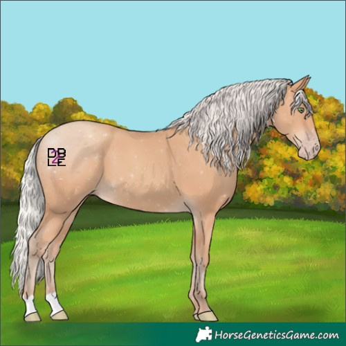 Horse Color:Silver Amber Champagne