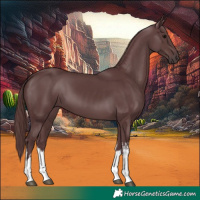 Horse Color:White Spotted Chocolate Black 