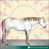 Horse Color:Gray Painted White Spotted Liver Red Dun Rabicano