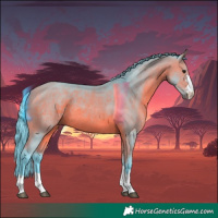 Horse Color:Watercolor Bay Rabicano 