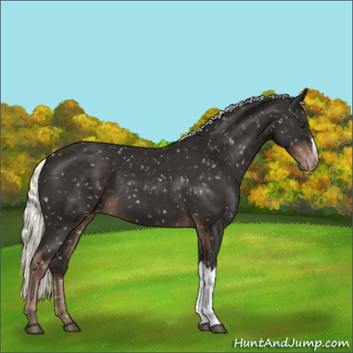 Horse Color:Liver Chestnut Mushroom Snowflake Varnish