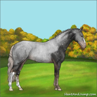Horse Color:Liver Chestnut Mushroom Snowflake VarnishRabicano 