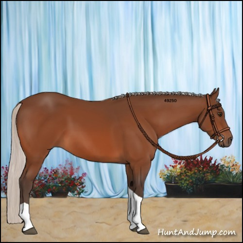 Horse Color:Silver Brown Tobiano 