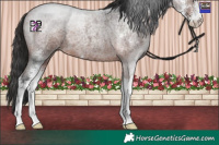 Horse Color:Bay Roan Mushroom Sabino