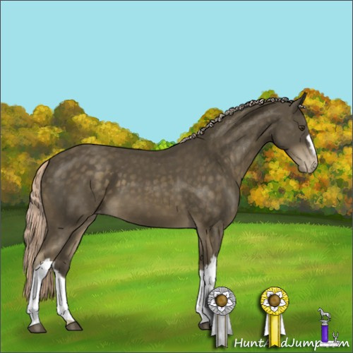 Horse Color:Chocolate Palomino Mushroom Varnish