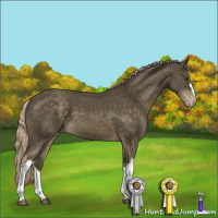 Horse Color:Chocolate Palomino Mushroom Varnish 