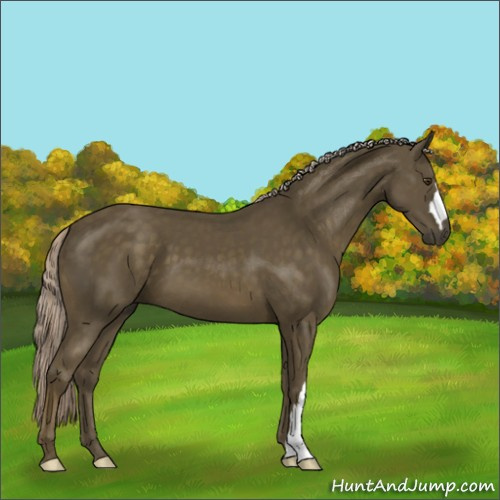 Horse Color:Chocolate Palomino Mushroom 