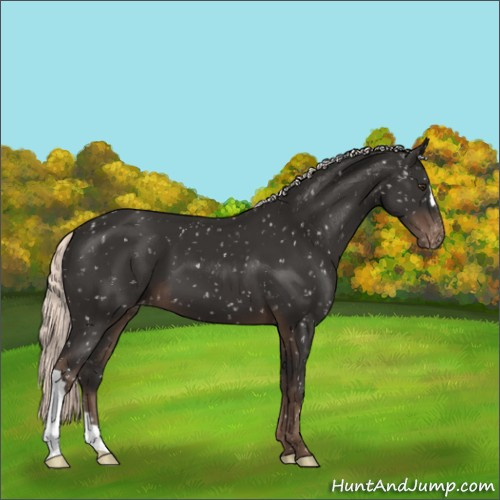 Horse Color:Liver Chestnut Mushroom Snowflake Varnish