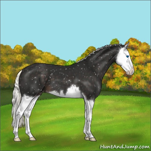 Horse Color:Liver Chestnut Mushroom Splash Snowflake Varnish 