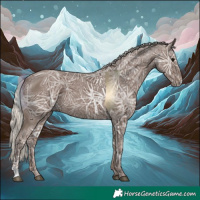 Horse Color:Silver Black Ice 