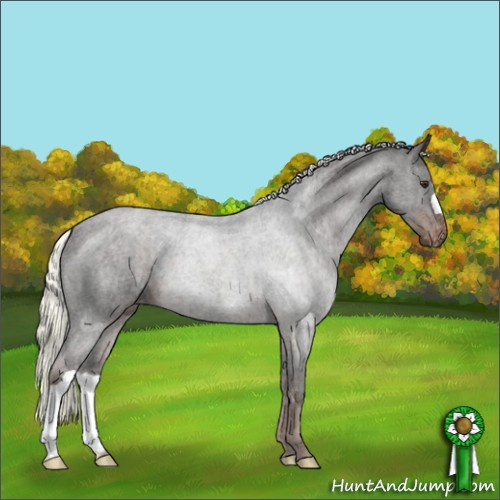 Horse Color:Liver Chestnut Mushroom Appaloosa