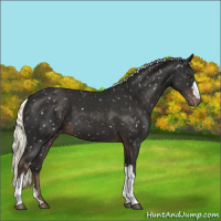 Horse Color:Liver Chestnut Mushroom Snowflake Varnish 