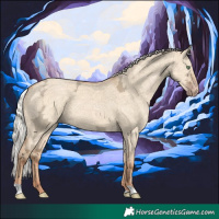 Horse Color:Silver Amber Champagne Ice Dun 