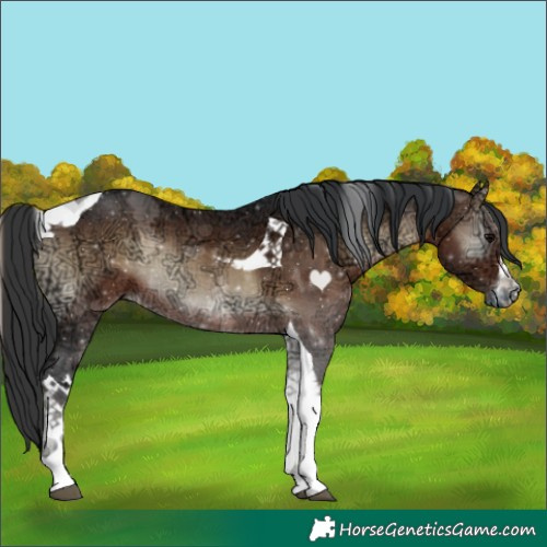 Horse Color:White Spotted Brown Ice Onyx Tobiano 