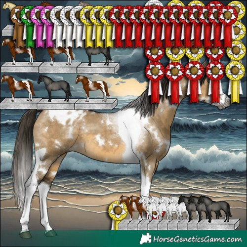 Horse Color:Gray White Spotted Buckskin Dun Splash Tobiano Blanket