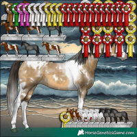 Horse Color:Gray White Spotted Buckskin Dun Splash Tobiano Blanket 
