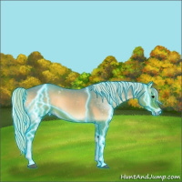 Horse Color:Thunderstruck Watercolor Silver Blue Onyx 