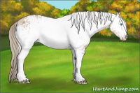 Horse Color:White Spotted Chocolate Palomino Pearl 