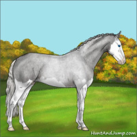 Horse Color:Liver Chestnut Mushroom Splash 